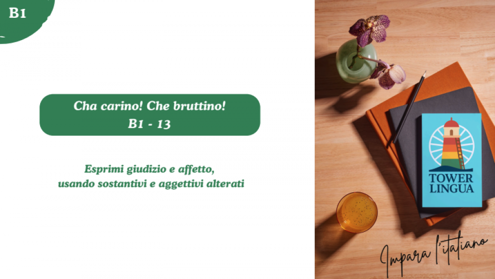 Italian B1 Lesson 13 - Che carino! Che bruttino! (Nomi alterati: -ino, -one, -etto, -accio)